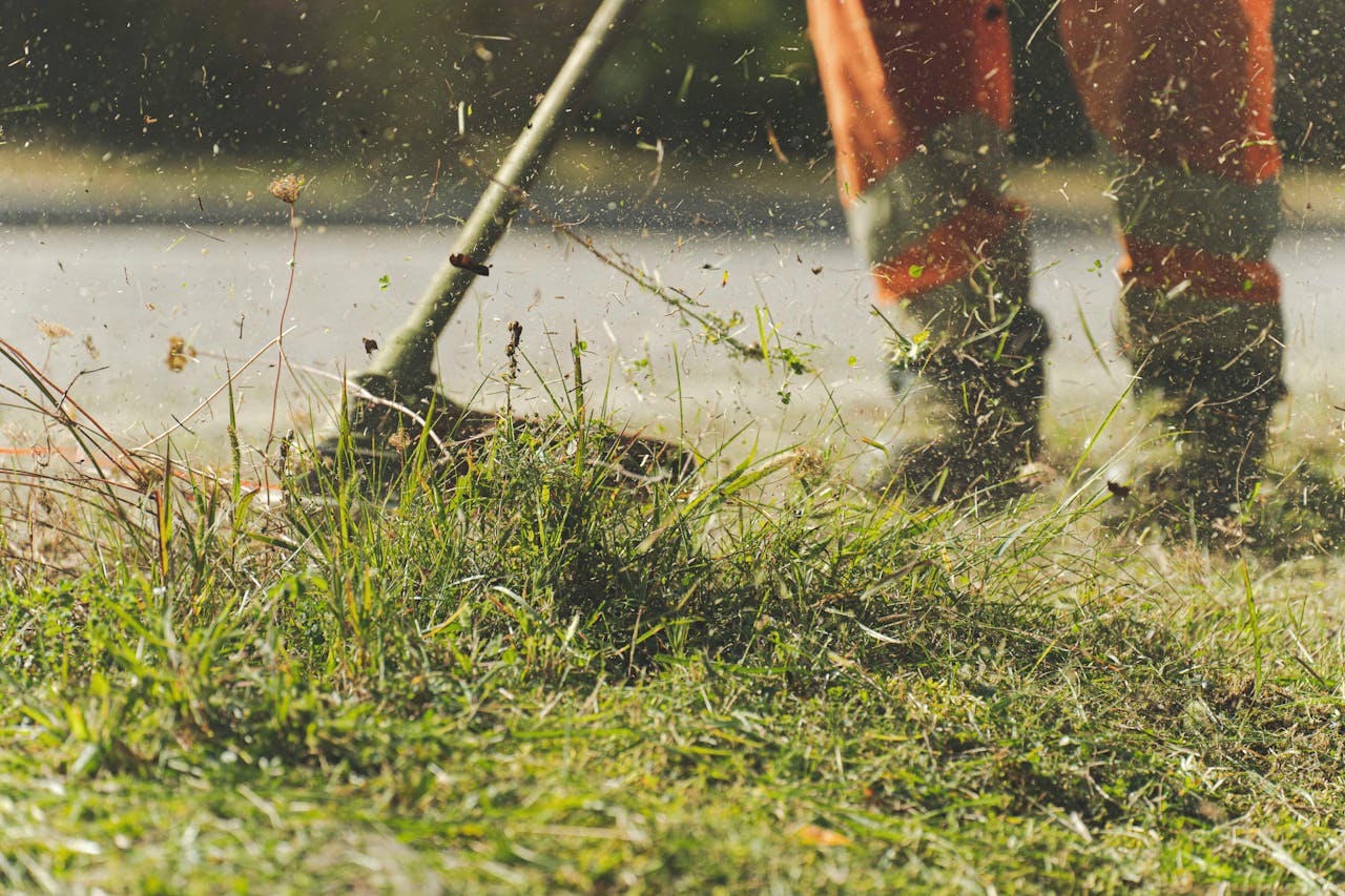 A person using a lawn mower to trim grass in a sunny garden.