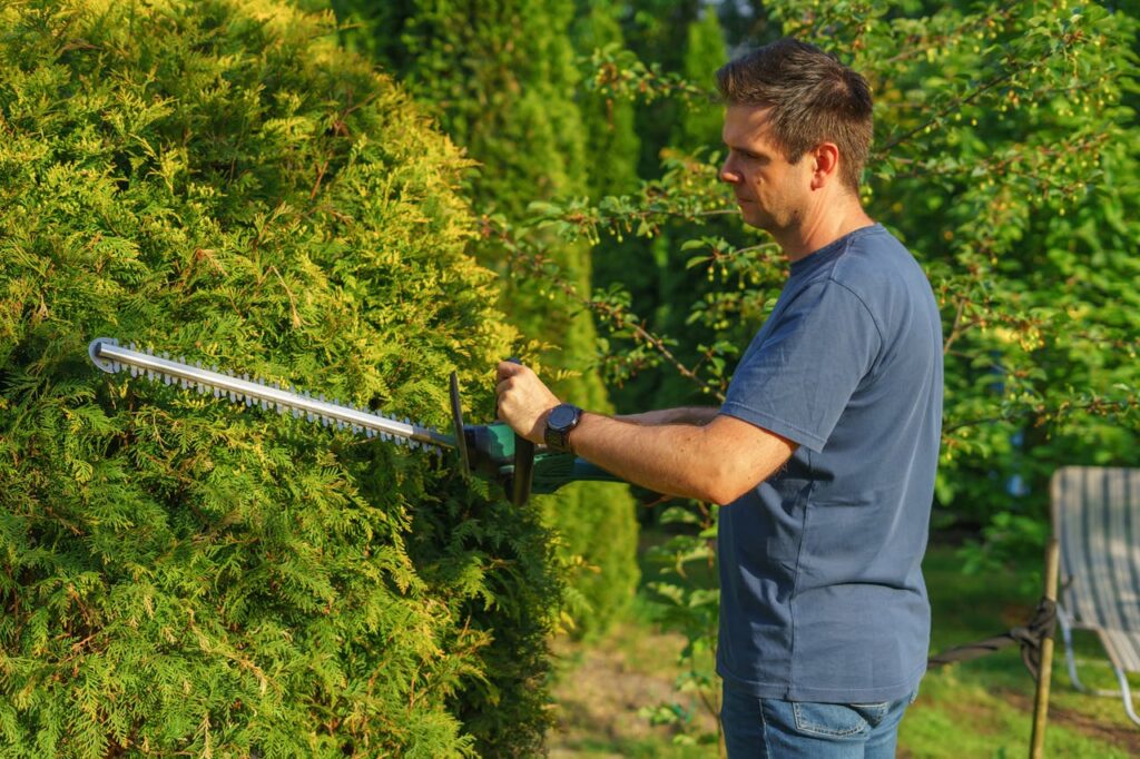 Man trimming hedge with electric trimmer in a sunny garden.